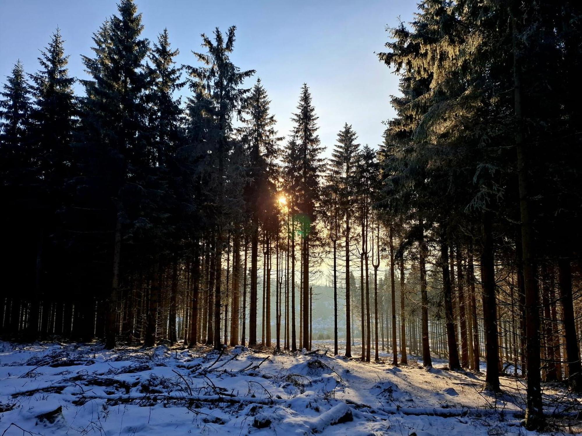 Haus Astenberg Winterberg Eksteriør billede